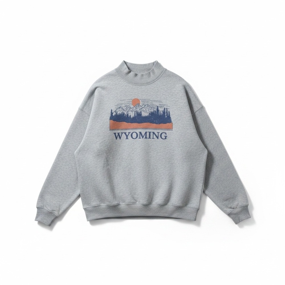 American Eagle Wyoming Graphic Mock Neck Sweatshirt Gray Medium Outdoorsy